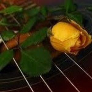 Meet your Posher, Dallas